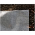 Agro plėvelė 50gr.|1,6 x 50M Agro plėvelė 50gr.|1,6 x 50M